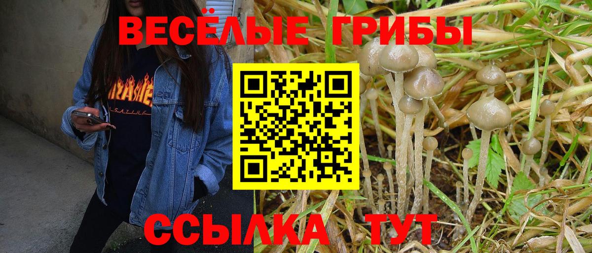 Псилоцибиновые грибы Magic Shrooms Алушта
